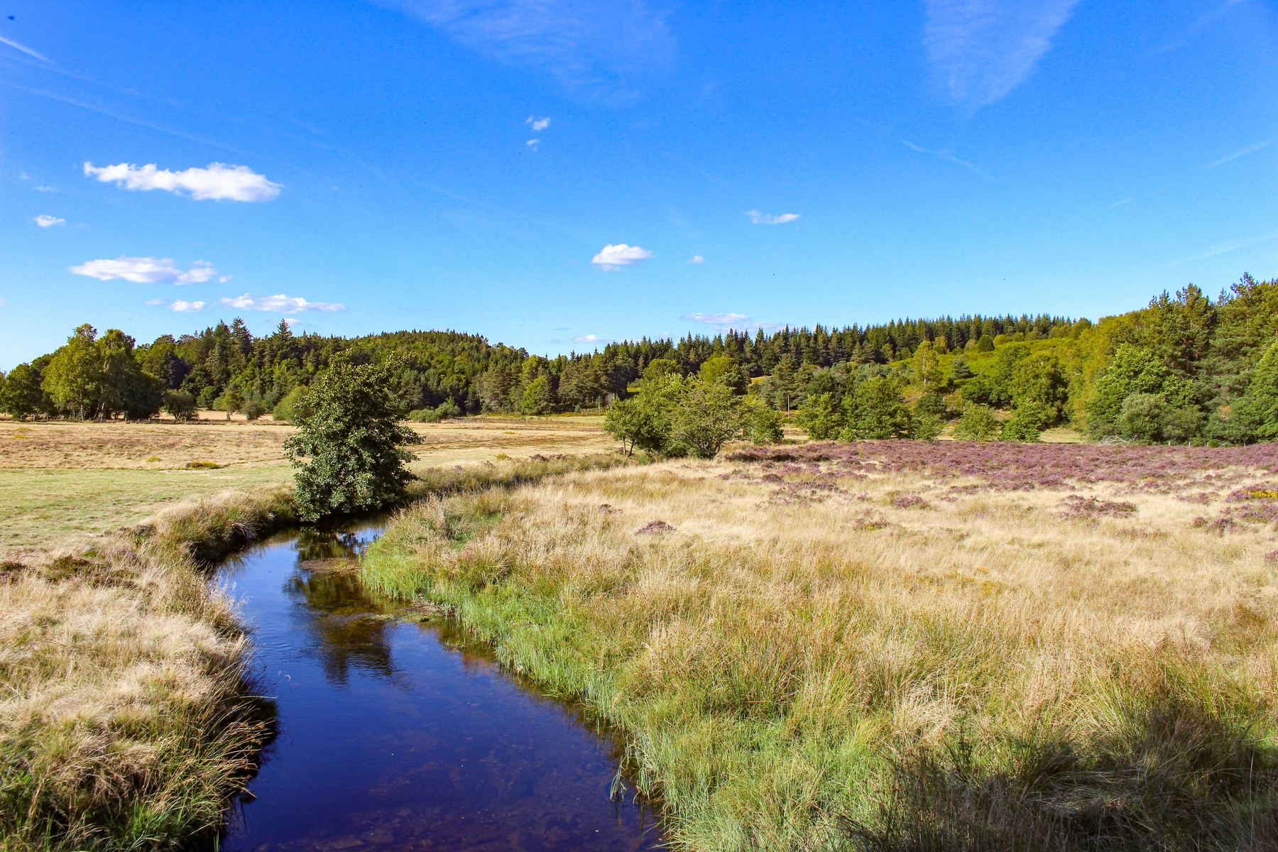 jeff-allanic_tourbiere-crouziat